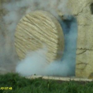 Meet your Posher, Dora